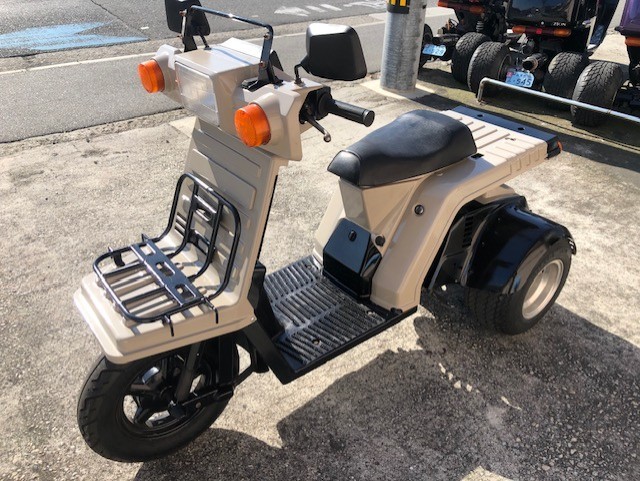 �z���_ �W���C��X �摜�@�P