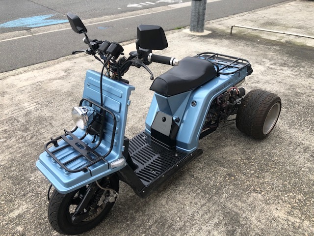 �z���_ �W���C��X �摜�@�P