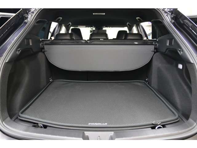 �g���^ �J���[���c�[�����O �ʐ^