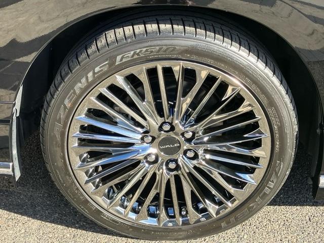 �O�����G�[�X �ʐ^