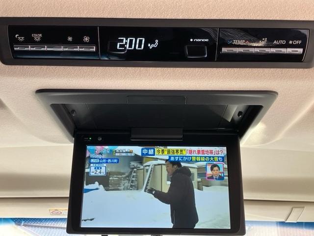 �O�����G�[�X �ʐ^