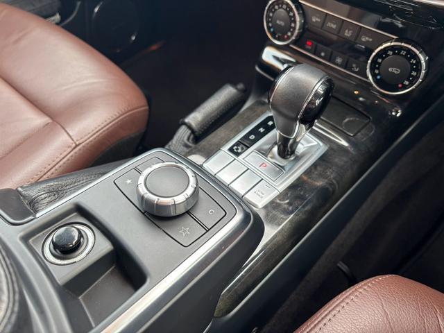 G�N���X(�Q�����f���@�[�Q��) �ʐ^