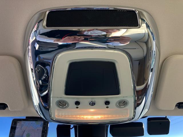 ���C�X �ʐ^