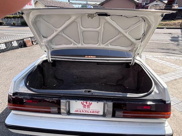 �g���^�N���E�� �ʐ^