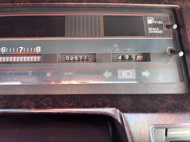 �g���^�N���E�� �ʐ^