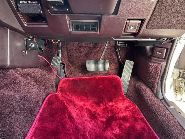 �g���^�N���E�� �ʐ^