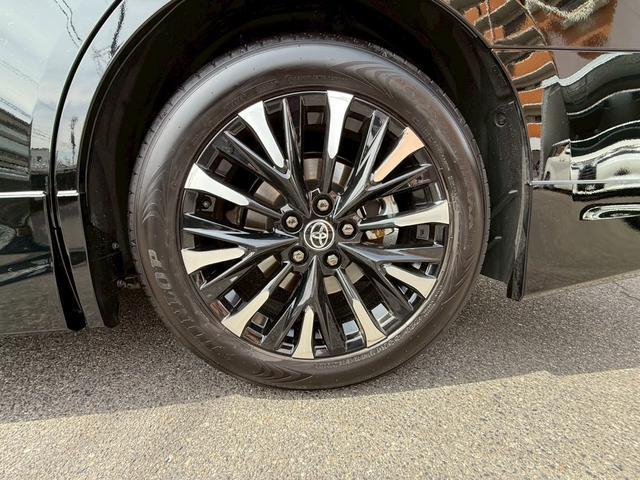 �A���t�@�[�h�n�C�u���b�h �ʐ^