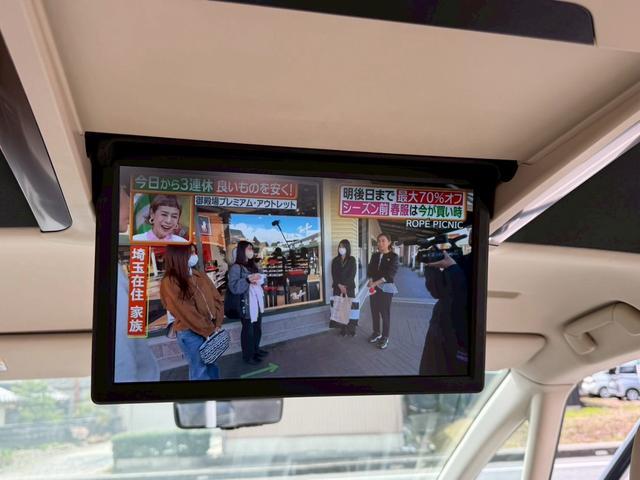 �A���t�@�[�h�n�C�u���b�h �ʐ^