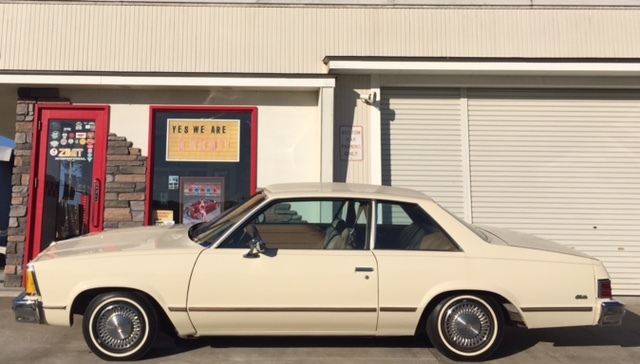 Malibu coupe ʐ^