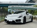 Cayman GTS Type981