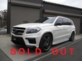 AMG GL63@ʐ^P