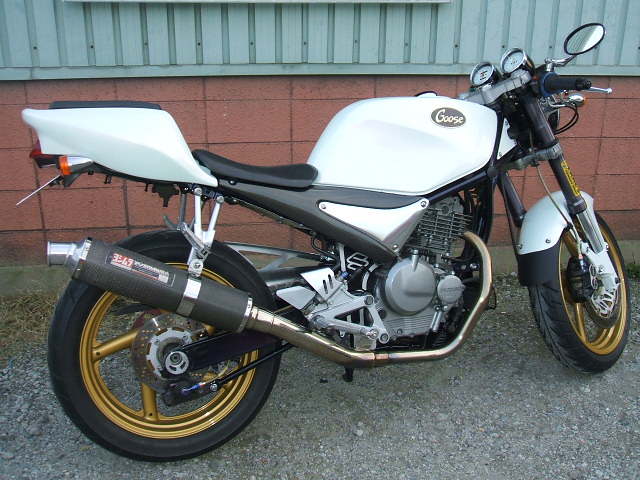 suzuki goose