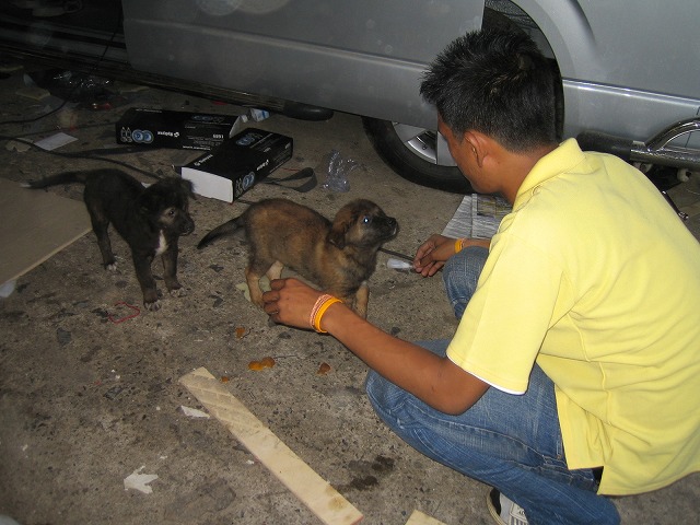 vehicle in Thailand