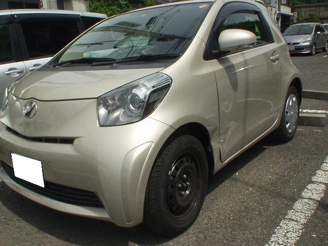 IQ�C�X�g�E�B�b�V�����F���t�@�C�A���W�A�X���B�b�c�C���摜