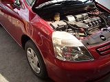 �z���_�@�X�g���[���E�t�F���_�[����