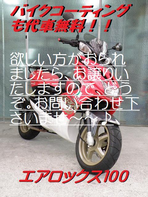 �o�C�N�R�[�e�B���O���