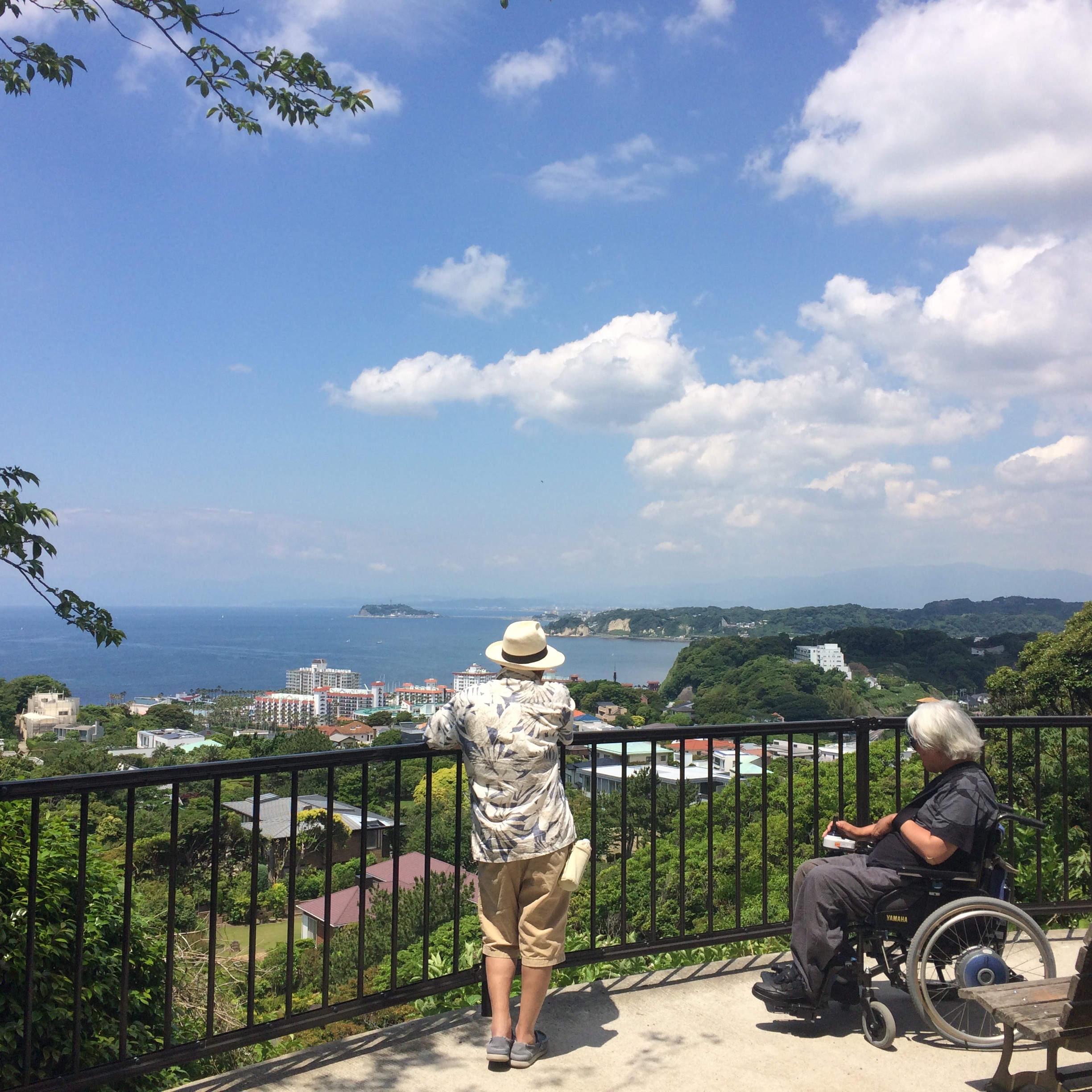 アメリカ便り