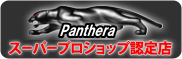 Panthera