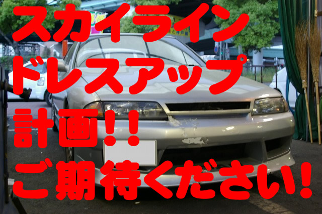 �X�J�C���C��